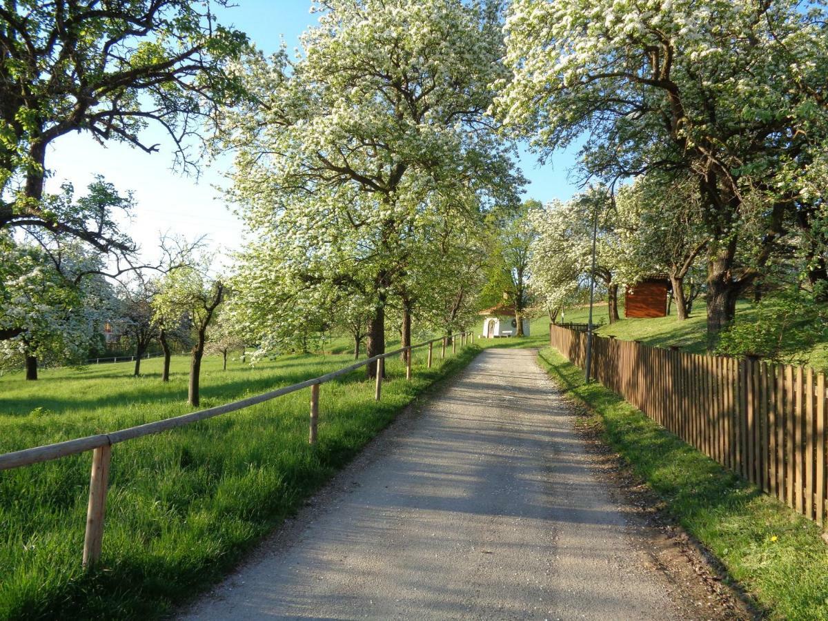 Apartments Himmelreich Ternitz Zewnętrze zdjęcie