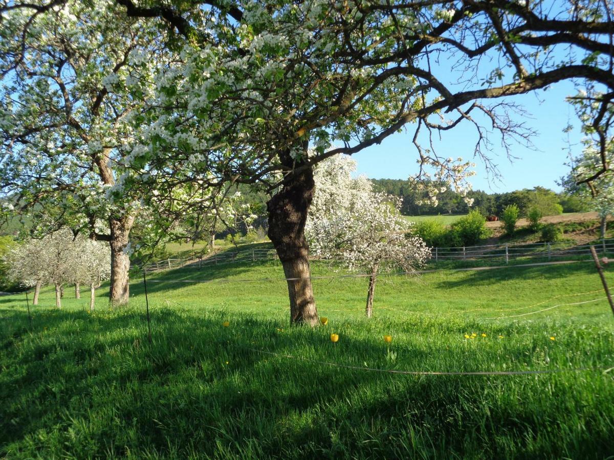 Apartments Himmelreich Ternitz Zewnętrze zdjęcie