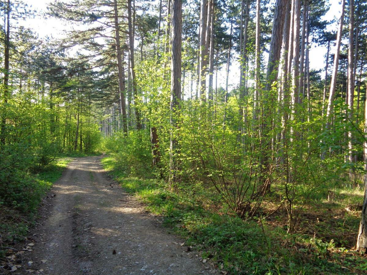 Apartments Himmelreich Ternitz Zewnętrze zdjęcie